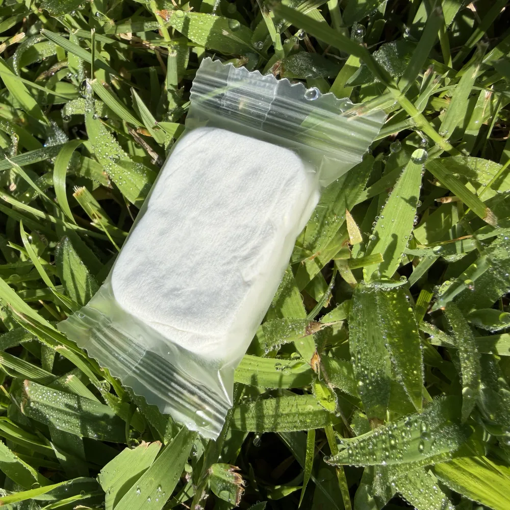Individually wrapped Messy Nessie compressed washcloth before water is added